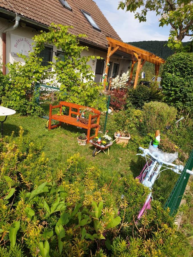Apartment Da Elisa Rietheim-Weilheim エクステリア 写真
